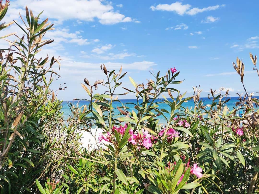 Overlookingsea Lido di Noto Dış mekan fotoğraf